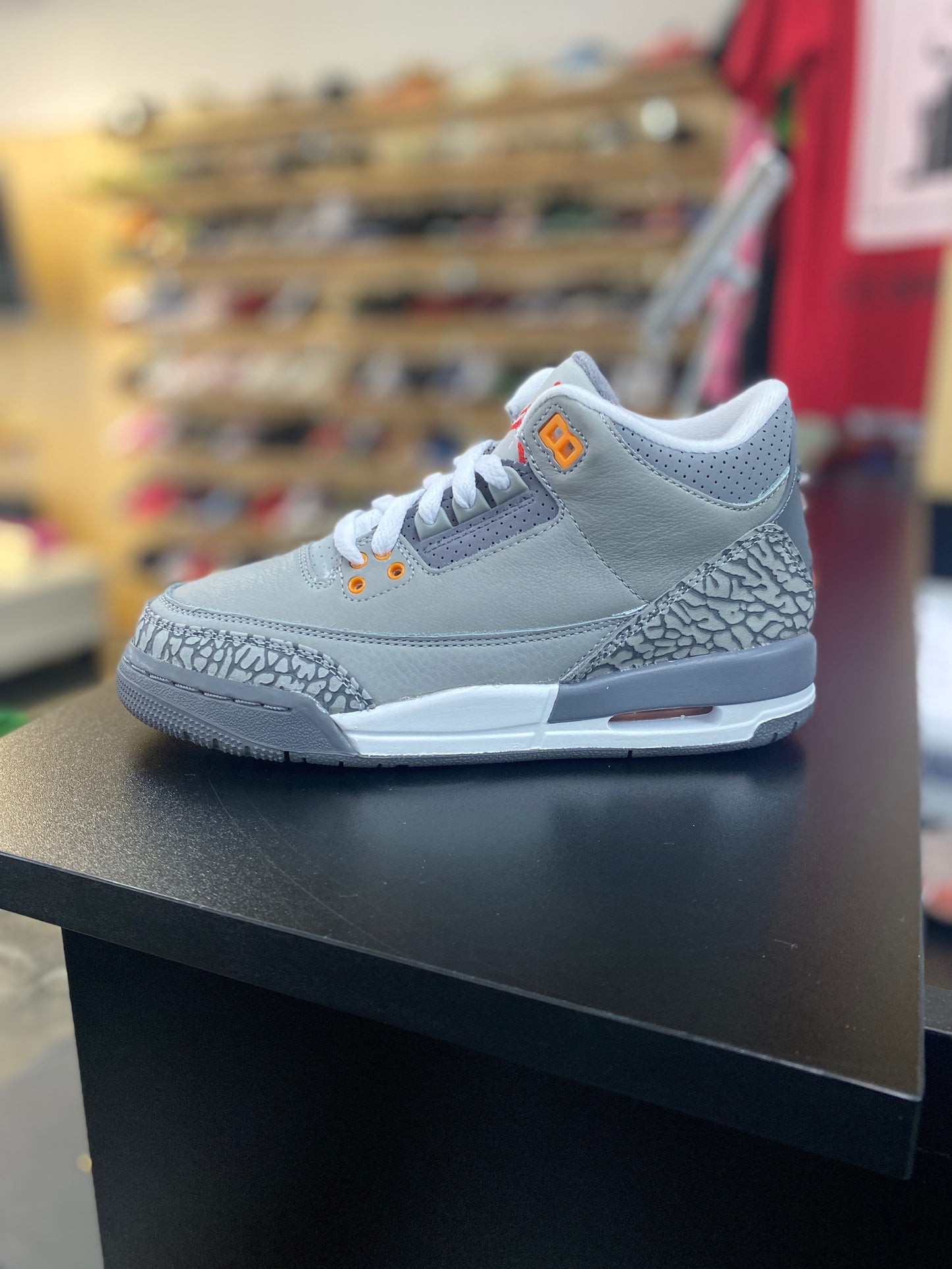 Jordan 3 Retro Cool Grey (2021)