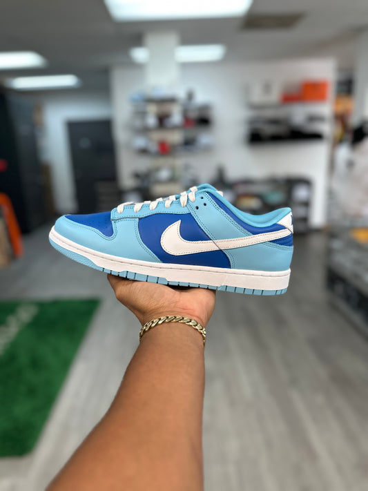 Argon Nike Dunk Low Retro QS